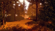 Firewatch - Screen zum Spiel.