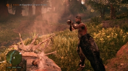 Far Cry Primal: Screenshots zum Artikel
