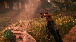 Far Cry Primal - Screenshots zum Artikel