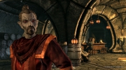 The Elder Scrolls V: Skyrim - Dragonborn: Screenshot zum Titel.