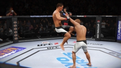 EA Sports UFC 2 - Screenshots zum Artikel