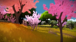 The Witness - Screen zum Spiel.