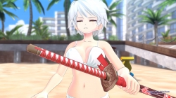 Senran Kagura: Estival Versus - Screenshots zum Artikel