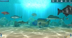 World of Fishing - Screenshot Januar 16