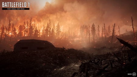 Battlefield 1: They Shall Not Pass - Verdun Höhen