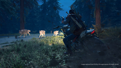 Days Gone - Official Screenshots Juni 2018