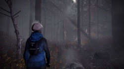 Through the Woods - Screen zum Horror Adventure.