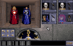 Eye of the Beholder II: The Legend of Darkmoon - Screen zum Spiel.