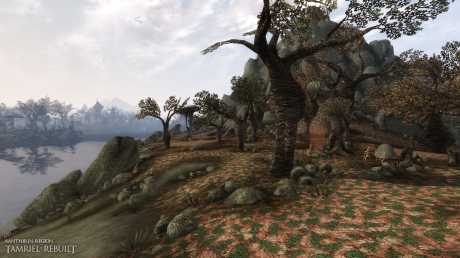 The Elder Scrolls III: Morrowind GOTY Edition: Screen zur Mod Tamriel Rebuilt.