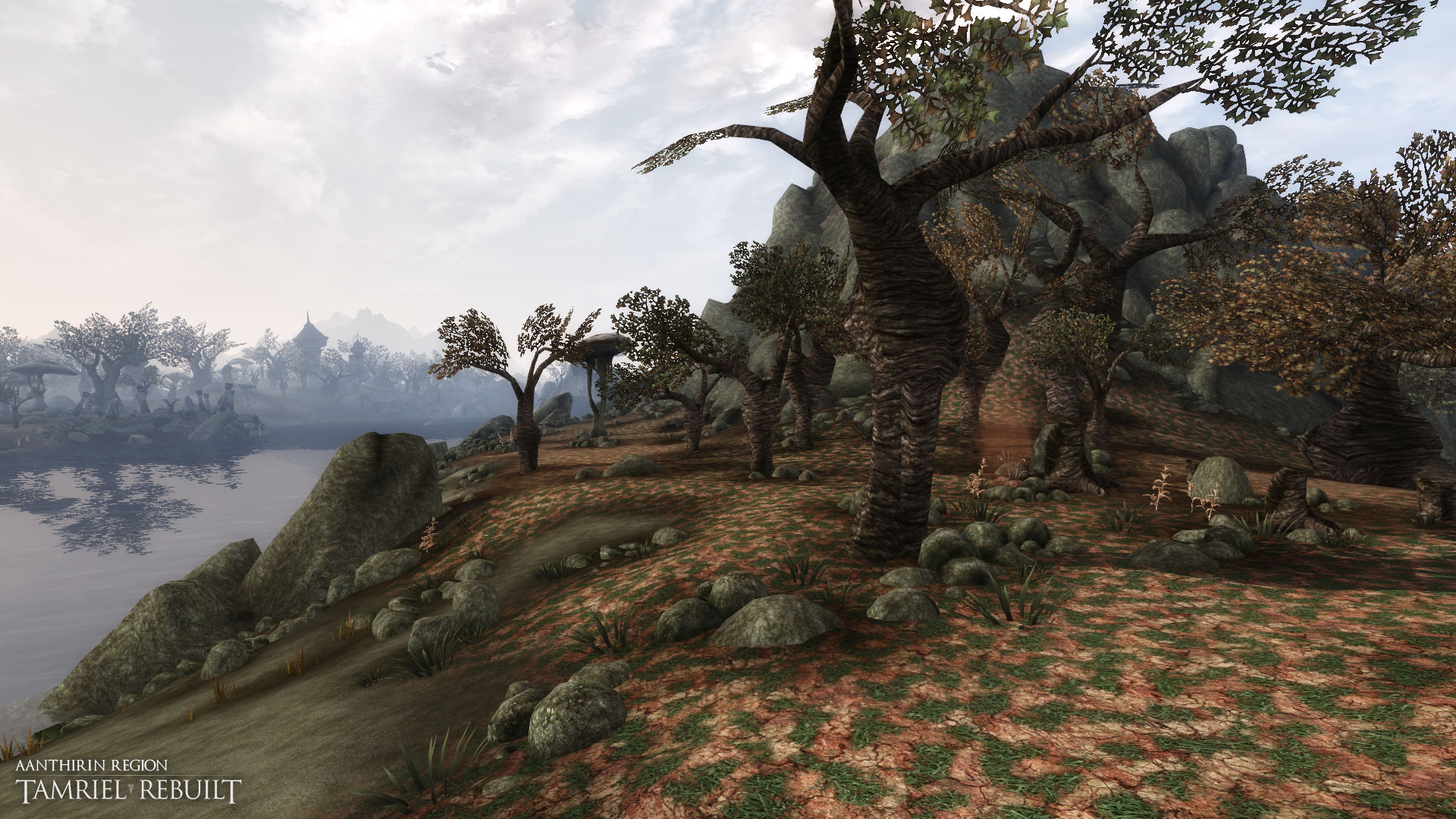 morrowind increase carry weight morrowind increase carry weight