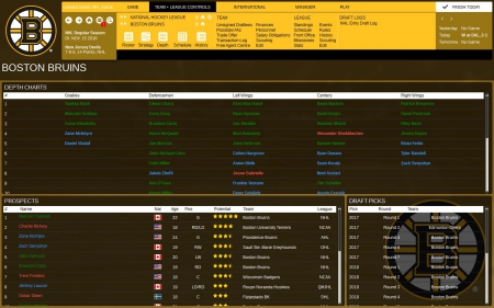 Franchise Hockey Manager 3 - Screenshot zum Titel.