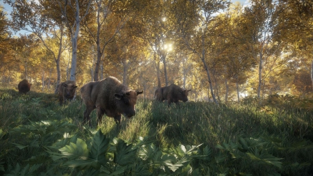 theHunter: Call of the Wild - Official Screenshots