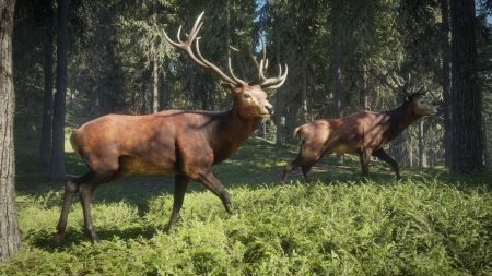 theHunter: Call of the Wild - Screenshot zum Titel.