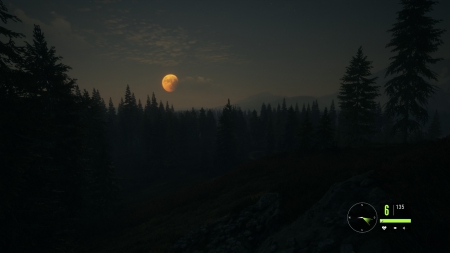 theHunter: Call of the Wild - Screenshots aus dem Spiel