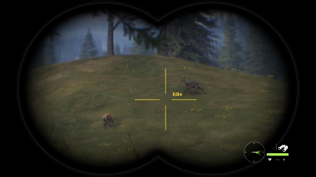 theHunter: Call of the Wild: Screenshots aus dem Spiel