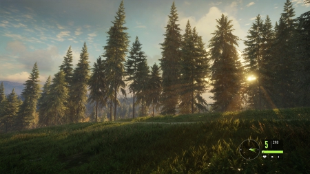 theHunter: Call of the Wild: Screenshots aus dem Spiel