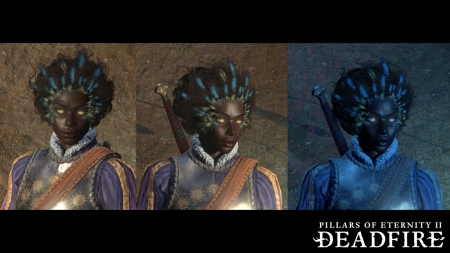 Pillars of Eternity 2: Deadfire - Screen zum Spiel Pillars of Eternity 2: Deadfire.