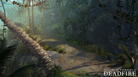 Pillars of Eternity 2: Deadfire - Screen zum Spiel Pillars of Eternity 2: Deadfire.