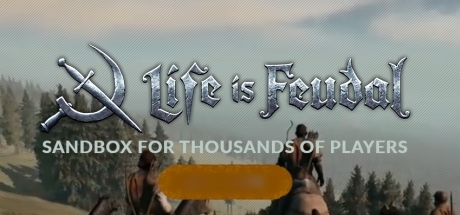 Life is Feudal: MMO