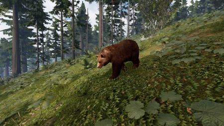 Hunting Simulator - Screenshots aus dem Spiel