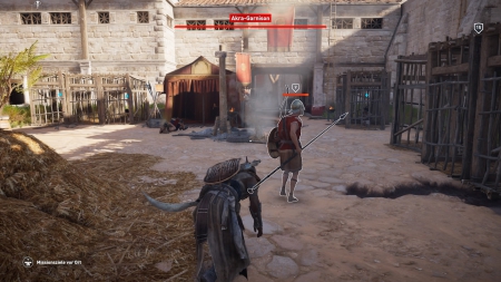 Assassin's Creed: Origins: Screenshots aus dem Spiel