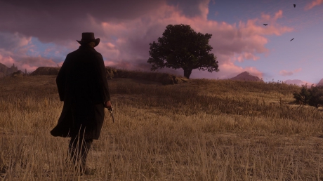 Red Dead Redemption 2 - Official Screenshots Mai 2018