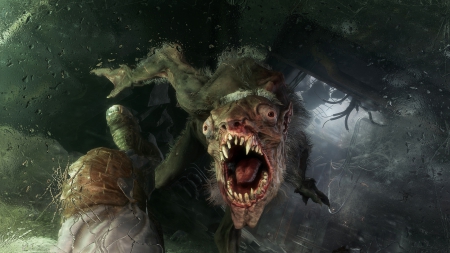 Metro Exodus: Screen zum Spiel Metro Exodus.