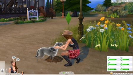 Die Sims 4: Hunde & Katzen - Screenshots aus dem Spiel