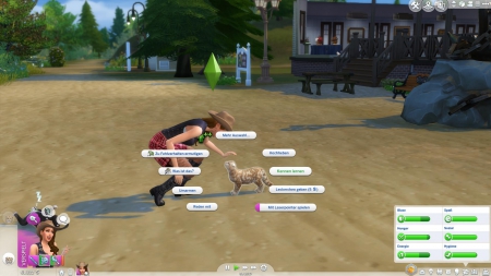 Die Sims 4: Hunde & Katzen: Screenshots aus dem Spiel