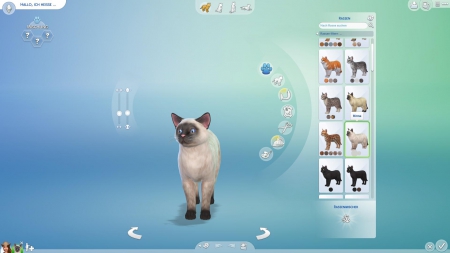 Die Sims 4: Hunde & Katzen: Screenshots aus dem Spiel