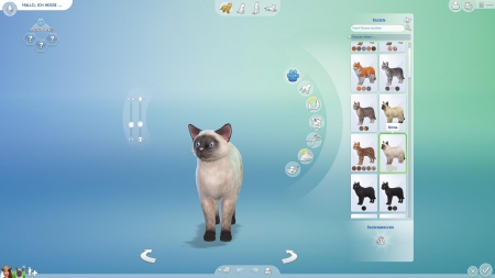 Die Sims 4: Hunde & Katzen - Screenshots aus dem Spiel