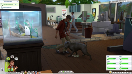 Die Sims 4: Hunde & Katzen - Screenshots aus dem Spiel