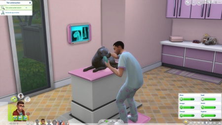 Die Sims 4: Hunde & Katzen: Screenshots aus dem Spiel