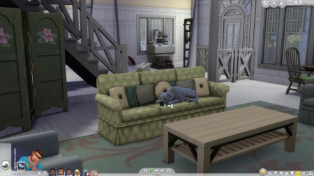 Die Sims 4: Hunde & Katzen - Screenshots aus dem Spiel