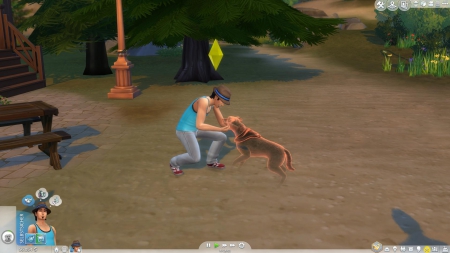 Die Sims 4: Hunde & Katzen - Screenshots aus dem Spiel