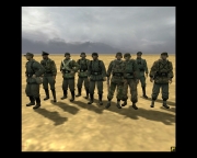 Company of Heroes: Opposing Fronts - Company of Heroes:Opposing Fronts - Skins - Multi Skinpack von HQ-CoH Forum