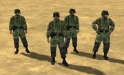 Company of Heroes: Opposing Fronts - Company of Heroes: Opposing Fronts - Skins - Picture 3