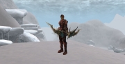 Lineage II: Screenshot aus dem MMORPG