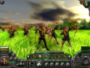 Elven Legacy - Screenshot zum Fantasy-Titel Elven Legacy