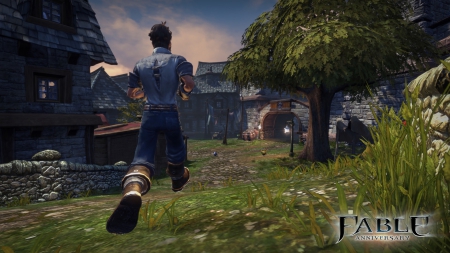  - Screen zum Spiel Fable Anniversary.