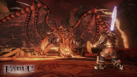  - Screen zum Spiel Fable Anniversary.