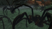 Das Schwarze Auge: Demonicon: Neue Screens von der GC2013.