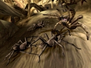 Deadly Creatures: Screenshot aus Deadly Creatures