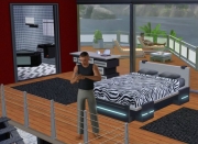 Die Sims 3: Mini-Addon - Luxusgüter - Screen 3 - News 19.01.09