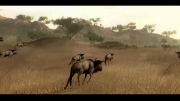 Far Cry 2 - Screenshots von den Ubidays aus dem offiziellen Trailer.