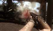 Far Cry 2 - Screen aus dem Download-Pack.