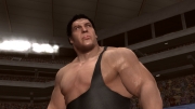 WWE Legends of WrestleMania: Screenshot - WWE Legends of WrestleMania