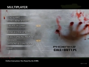 Call of Duty: World at War - Screenshot - Phoenix's Blood Mod