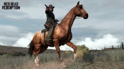 Red Dead Redemption - Screenshot aus Red Dead Redemption