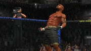 UFC Undisputed 2009 - Screenshot aus dem Kampfspiel UFC 2009 Undisputed